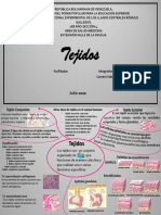 Mapa Mental Tejidos