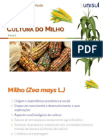 Cultura Do Milho