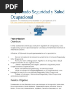 Diplomado Seguridad y Salud Ocupacional-BS GROUP