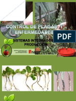 Control de Plagas y Enfermedades