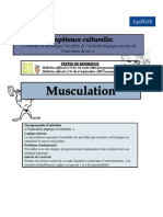 Projet de Cycle Musculation 1ère Lycée Technologique (STG, STI,... )