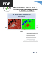 RAPPORT TP 3 Erdas