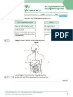 Exam-Style Questions: B3 Organisation and The Digestive System