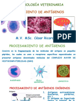 4-Procesamiento de Antígenos