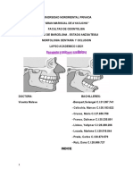 Trabajo Fisiología de La Oclusión