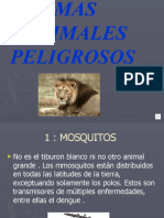 Mas Animales Peligrosos