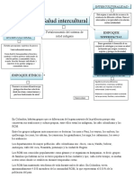 Mapa Conceptual Salud Intercultural