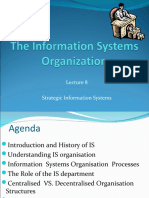 The MIS Organisationpart1