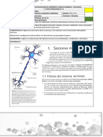 GUIA N2 GRADO 8° 1, 2 y 3 BIOLOGIA SISTEMA NERVIOSO