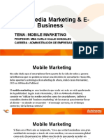 Mobile Marketing