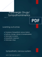 Epinephrine Sympthomimic Adrenergic