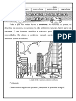 Ambiente Natural e Modificado 2º Ano Geografia