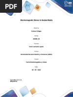 Electromagnetic Waves in Guided Media: Cristian Villegas