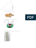 Grade 8 Lesson 2 Home Help I - Name The Following Microbes 1.