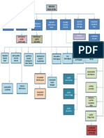 Organigrama Countier C-Nom