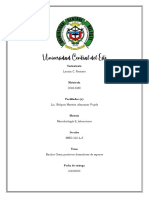 Bacilos Gram Positivos, Formadores de Esporas. MicroLab