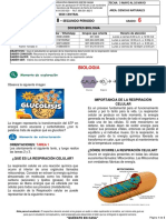 Guia 8-6º Naturales