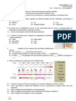 Ficha de Trabalho Luz 8ºano