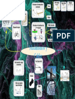 Mapa Mental-Mecanismos y Cables