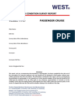 P&I Condition Survey Report - Passenger-Ship-2-4-6-Full