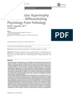 Left Ventricular Hypertrophy in Athletes 2018