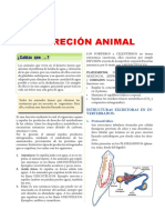 Excreción Animal para Tercer Grado de Secundaria