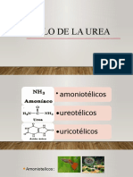 Ciclo de La Urea