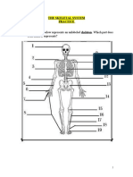 The Diagram Below Represents An Unlabeled Skeleton. Which Part Does Each Number Represents?