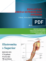 BAM Ektremitas Superior Dan Inferior 1
