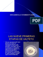 Exposicion de Desarrollo Embrionario