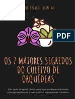 Os 7 Maiores Segredos Do Cultivo de Orquídeas 