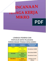 Perencanaan Tenaga Kerja Mikro 5 Mei