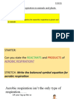 Anaerobic Resp Animals and Plants