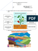 Ciencias Naturales T7 - Scarlett Tabango