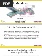 Cell Membrane: Fourth Term