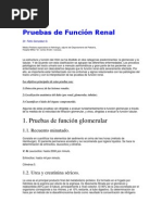 Pruebas de Funcion Renal