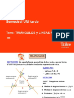 Triángulos Y Lineas Notables