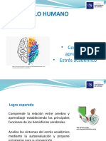 Cerebro, Aprendizaje y Estrés Académico