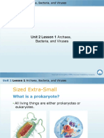 7th Grade Lesson 21 Archaea, Bacteria and Viruses