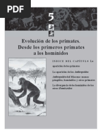 Evolución de Los Primates.