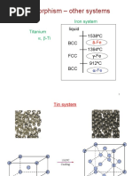 Polymorphism - Other Systems: Iron System