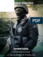 Juventude Criminalidade e Segurança Pública