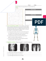 Guía Sistema Óseo