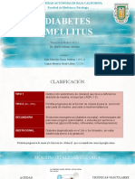 Diabetes Mellitus. Terapeutica