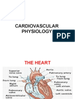 Cardiovascular