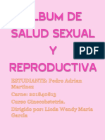 ALBUM INFOGRAFICO SALUD REPRODUCTIVA Pedro Adrian Martinez