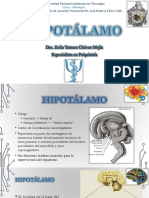 Hipotlamo 150522065452 Lva1 App6892