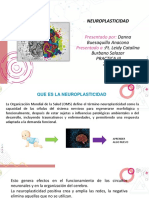 NEUROPLASTICIDAD 