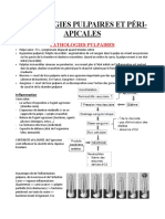 Patho Pulpaire Peri Apicale + Resorption