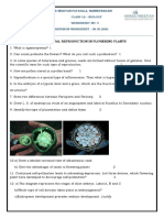 Revision Worksheet 3 08.05.2021